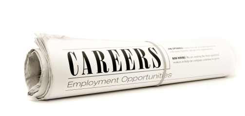 Career