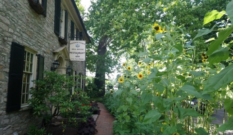 Summer at Bridgetown Mill House